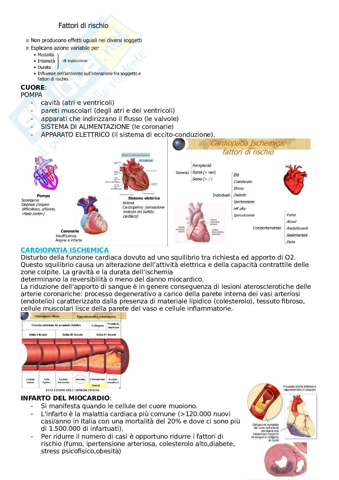 Igiene - scienze della prevenzione Pag. 36