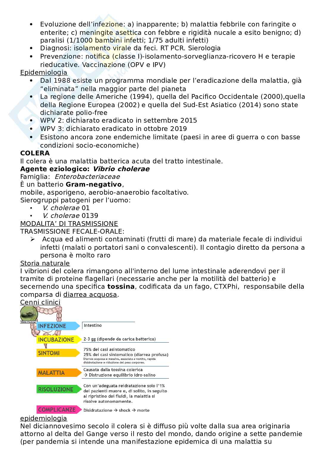 Igiene - scienze della prevenzione Pag. 81