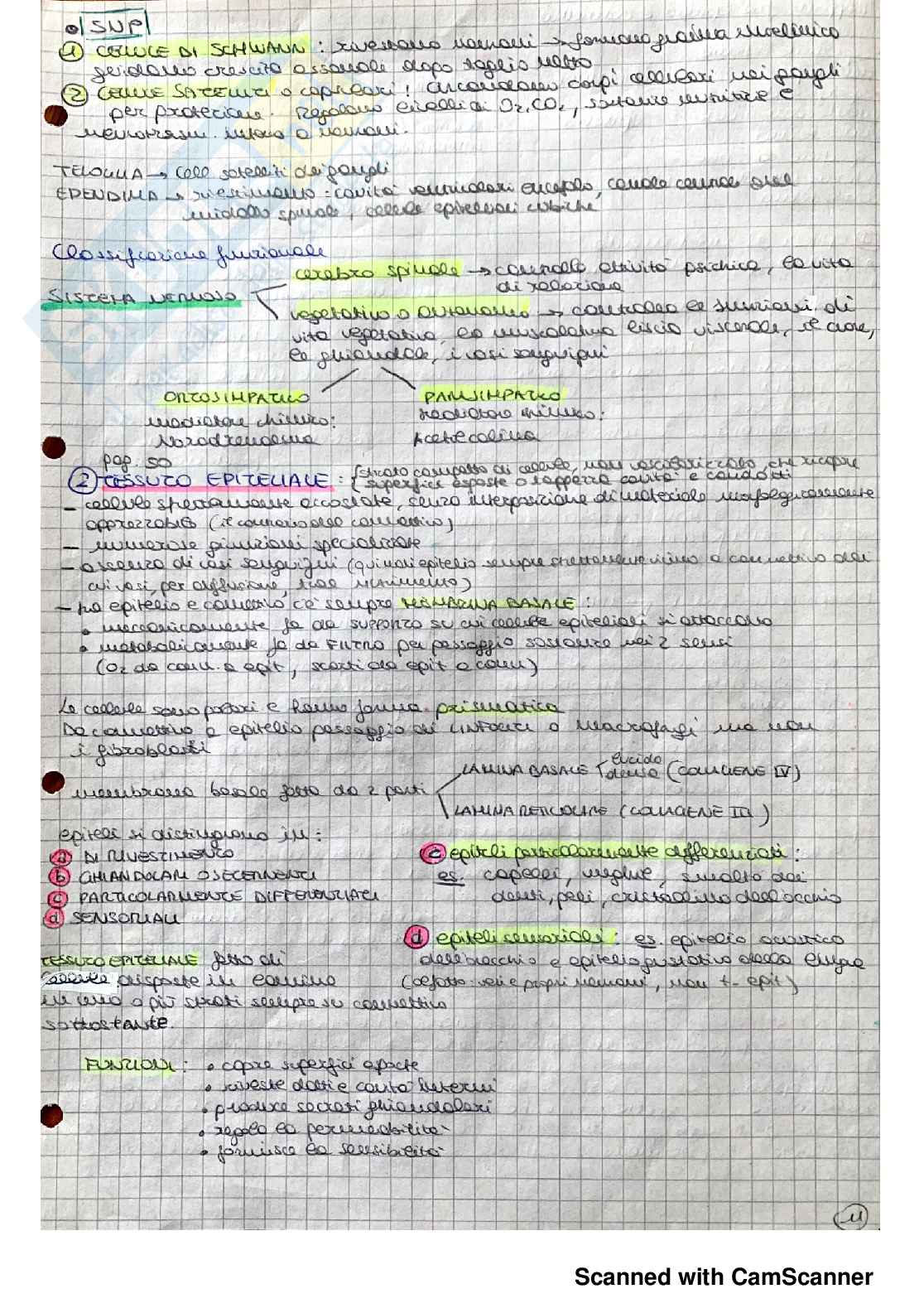 Citologia e istologia Pag. 11