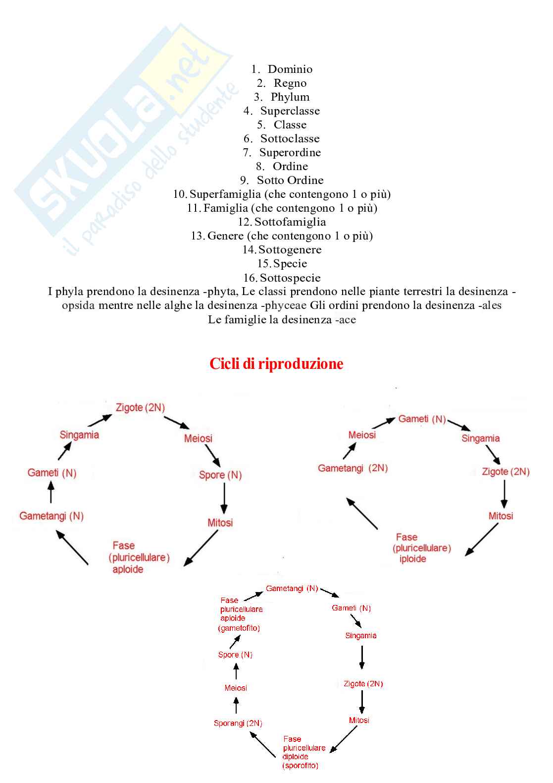 Appunti Botanica sistematica Pag. 1