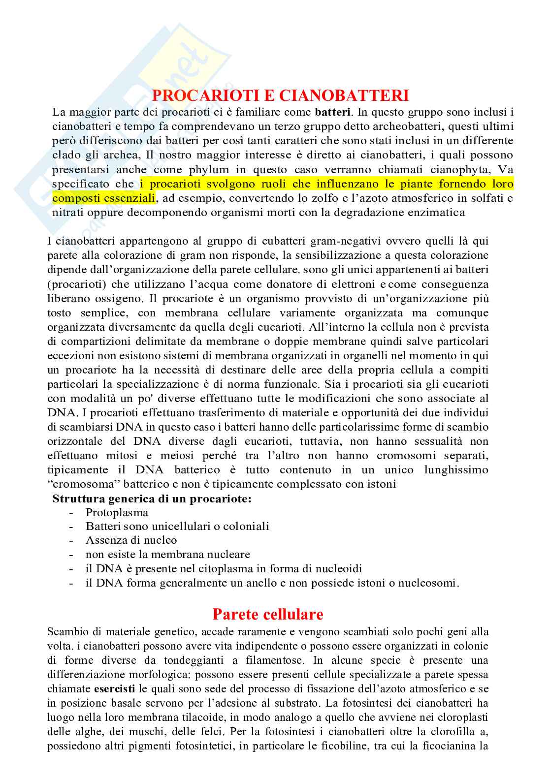 Appunti Botanica sistematica Pag. 2