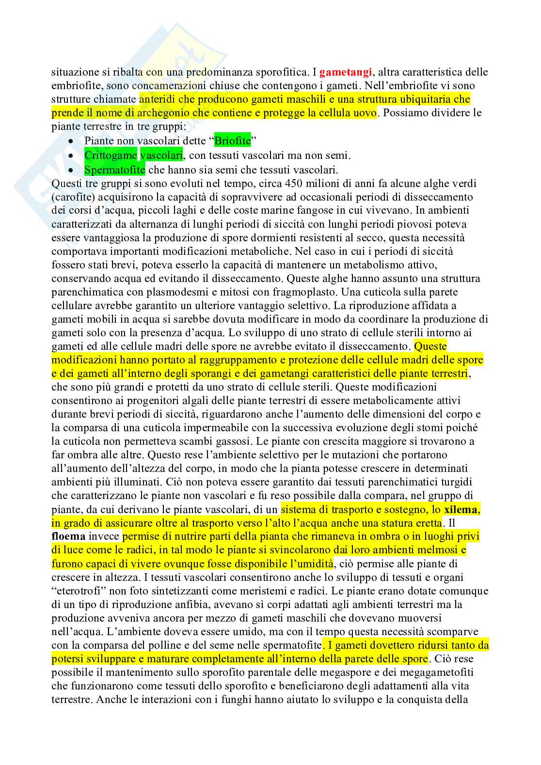 Appunti Botanica sistematica Pag. 21