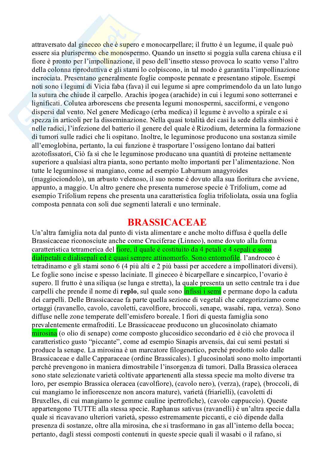 Appunti Botanica sistematica Pag. 56