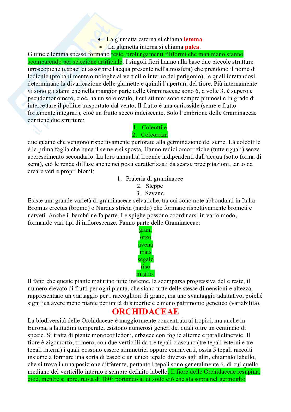 Appunti Botanica sistematica Pag. 61