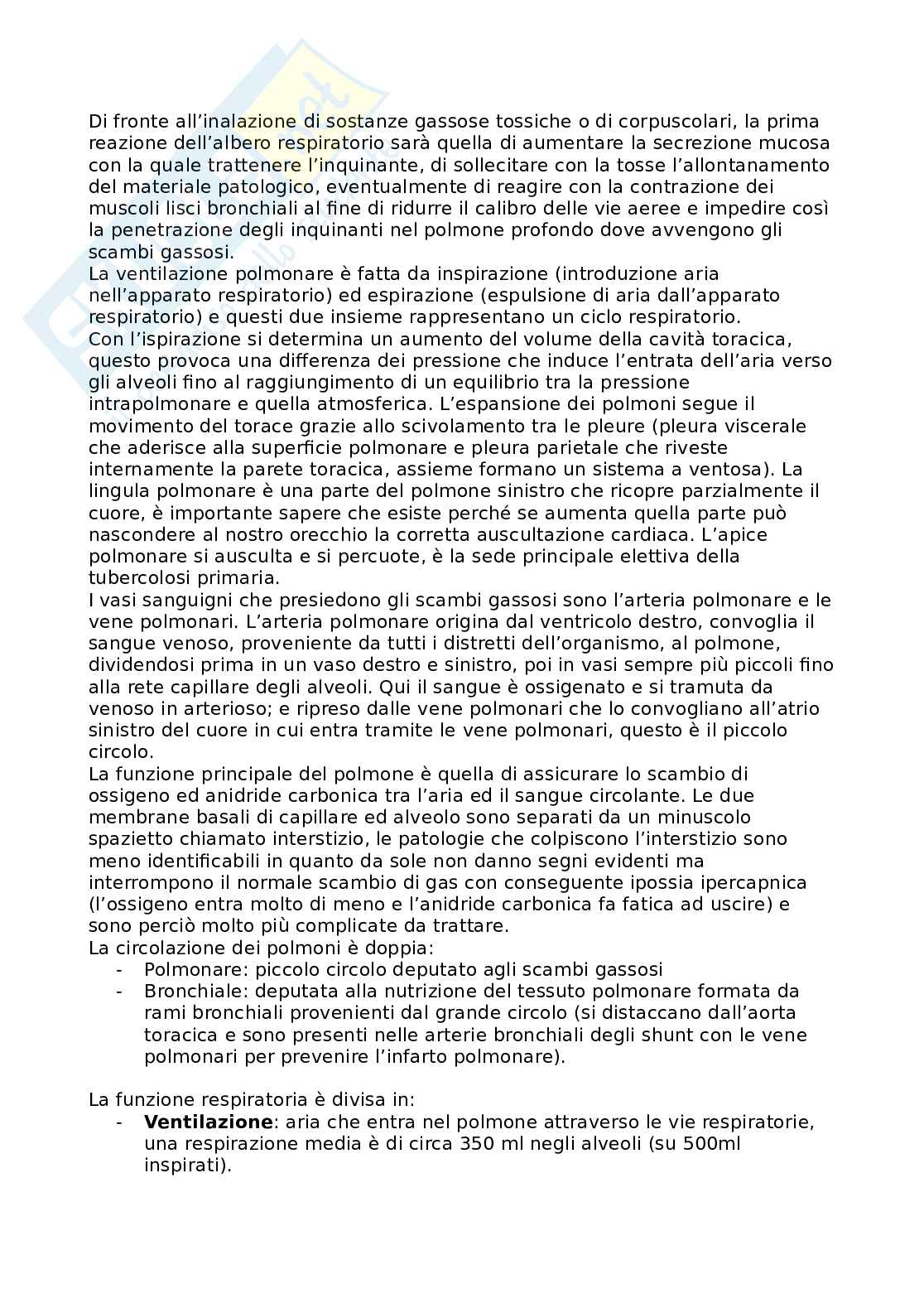 Apparato respiratorio  Pag. 2