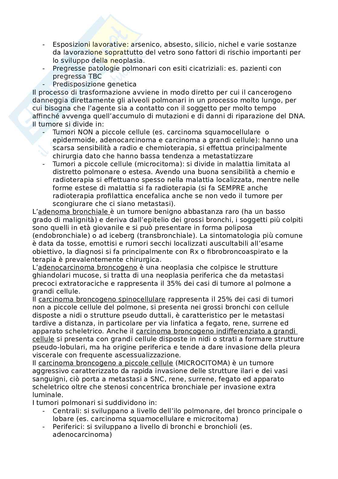 Apparato respiratorio  Pag. 26