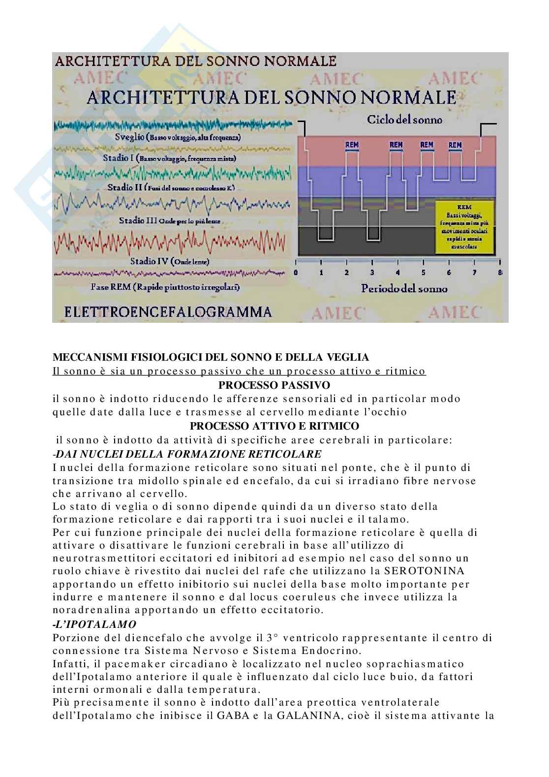 Domande e Risposte psicobiologia e psicologia fisiologica Pag. 71