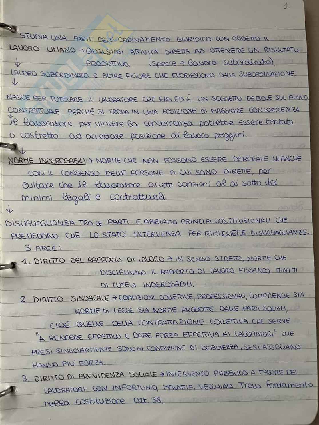 Appunti Diritto del lavoro Pag. 1