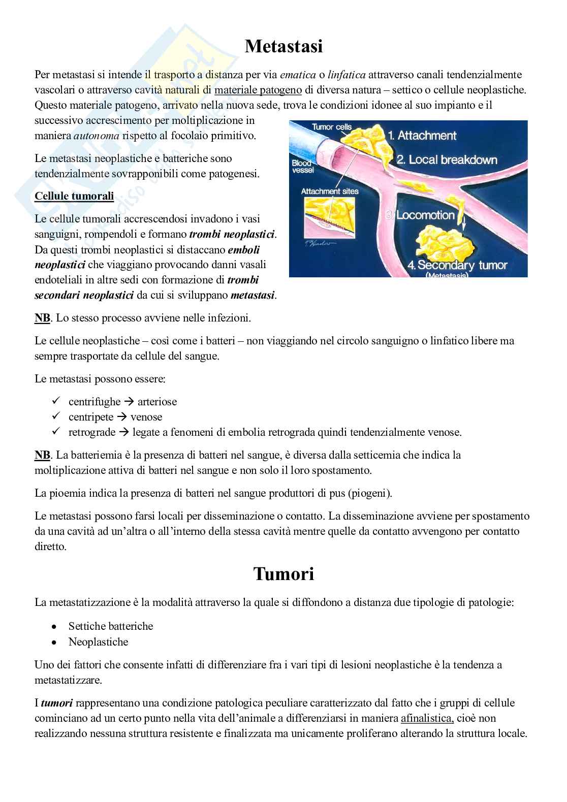 Appunti di Patologia chirurgia - nuovo ordinamento Pag. 41