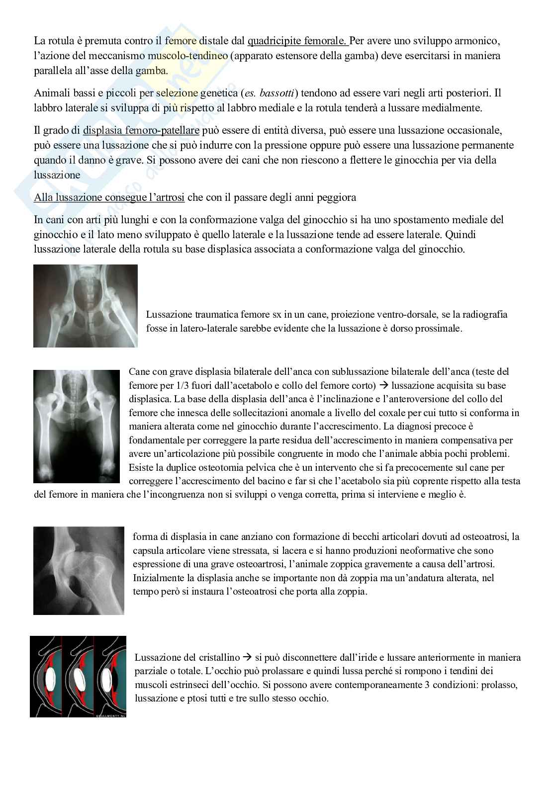 Appunti di Patologia chirurgia - nuovo ordinamento Pag. 81