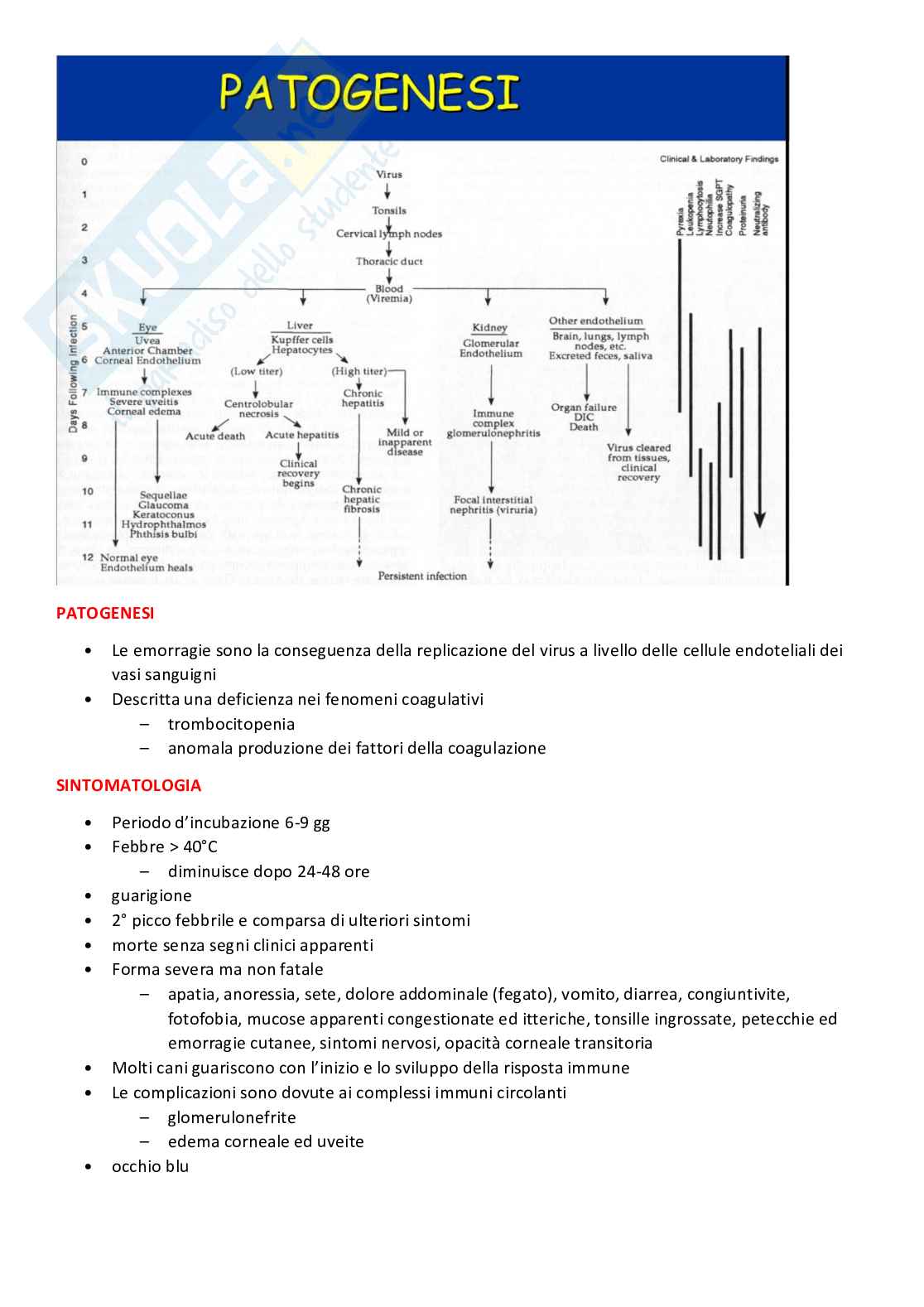 Malattie infettive Pag. 66