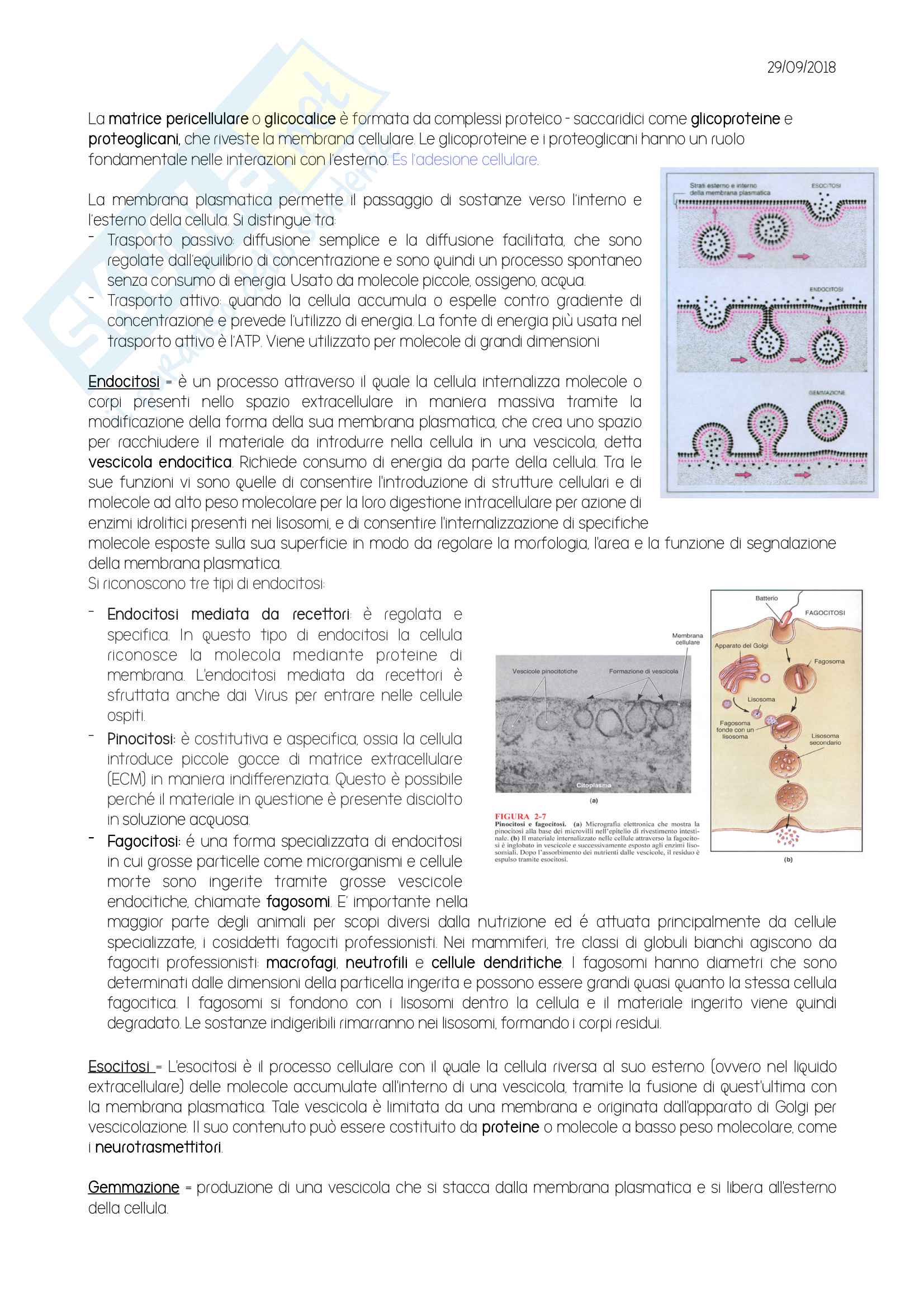 Citologia (la cellula) Pag. 2