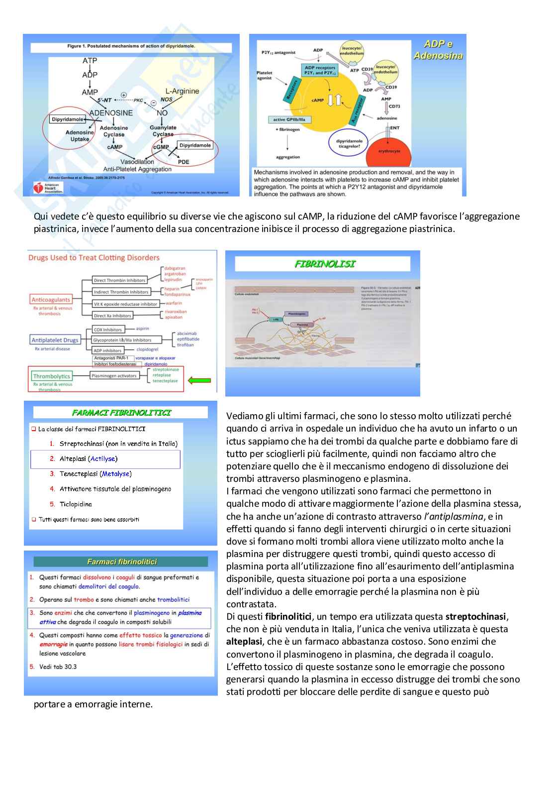 Farmacoterapia 2 - Parte 1 di 4 sul diabete Pag. 6