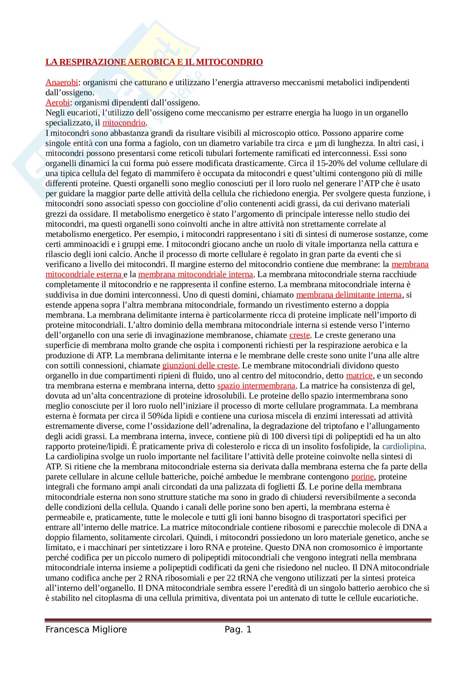 La respirazione aerobica e il mitocondrio Pag. 1