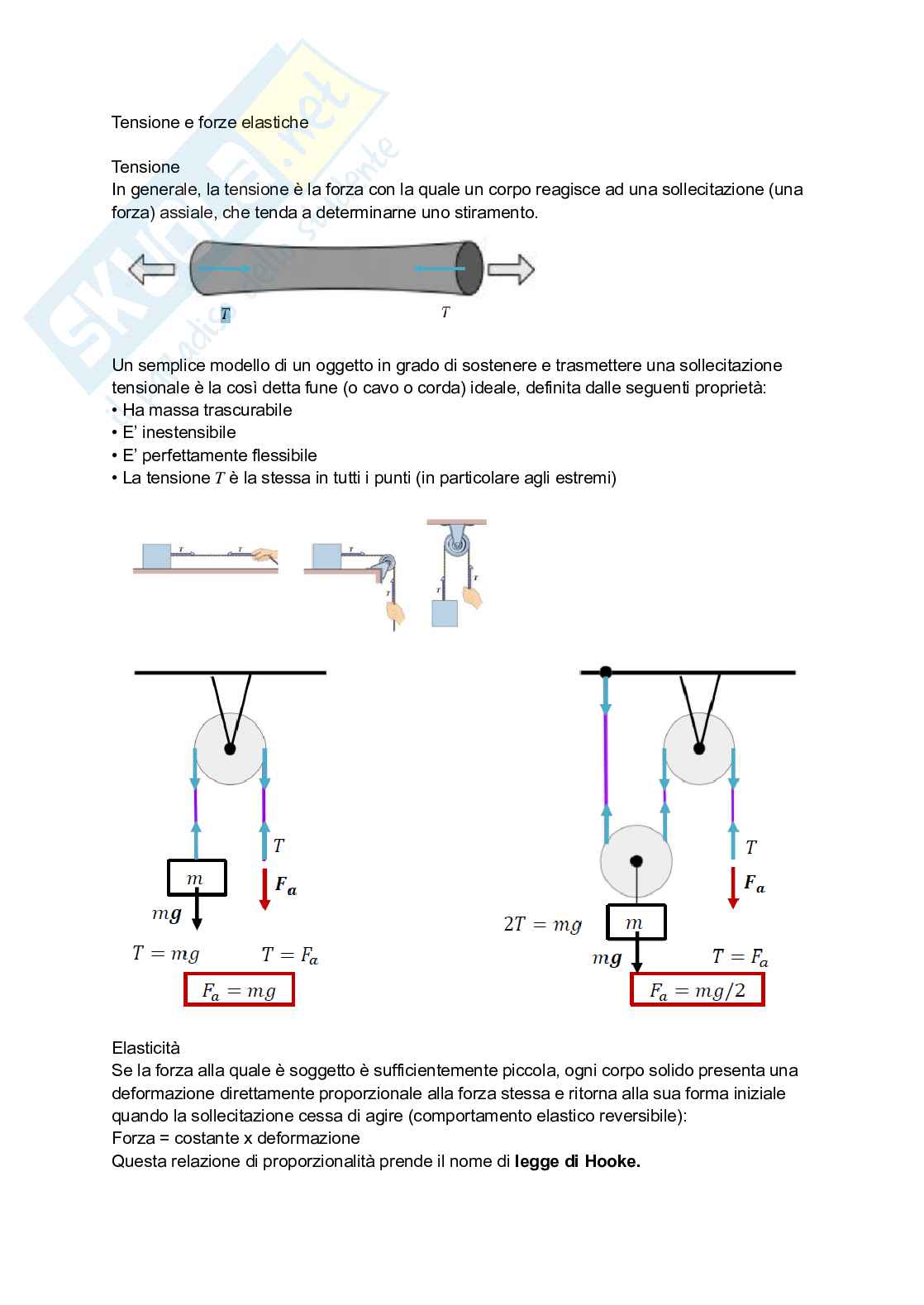Fisica Pag. 11