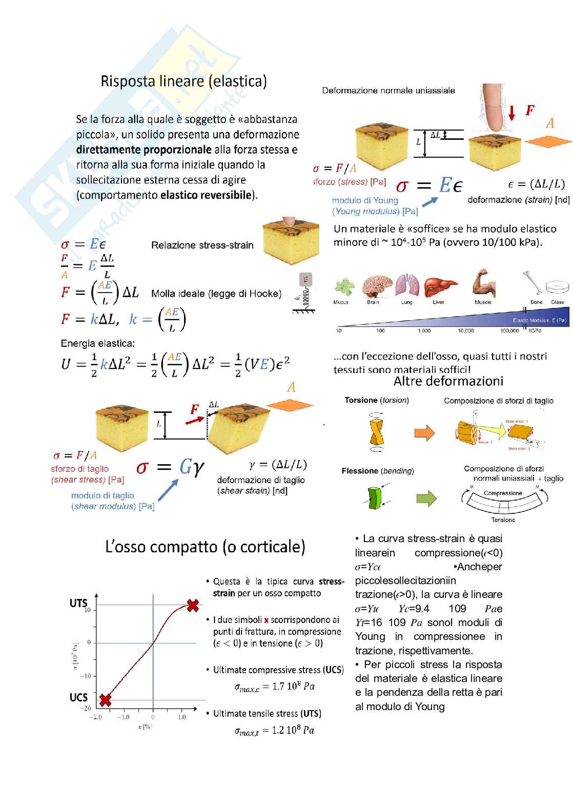 Fisica Pag. 21