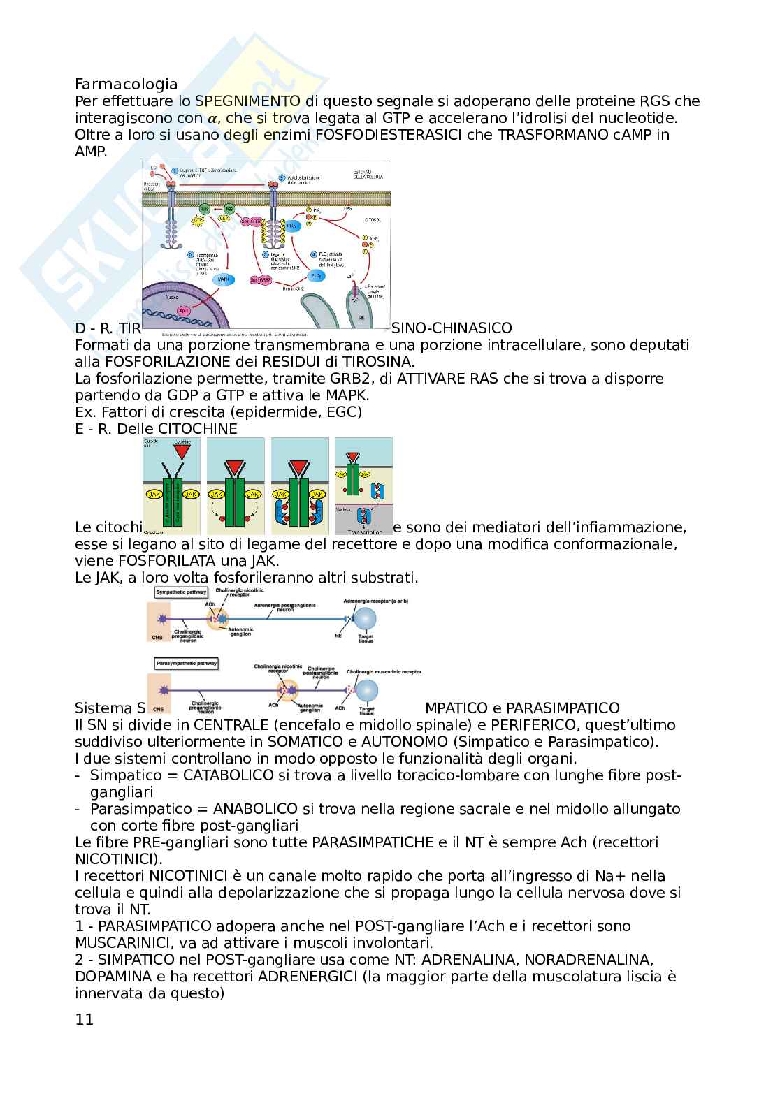 Appunti non completi, solo parte introduttiva di Farmacognosia e farmacologia Pag. 11