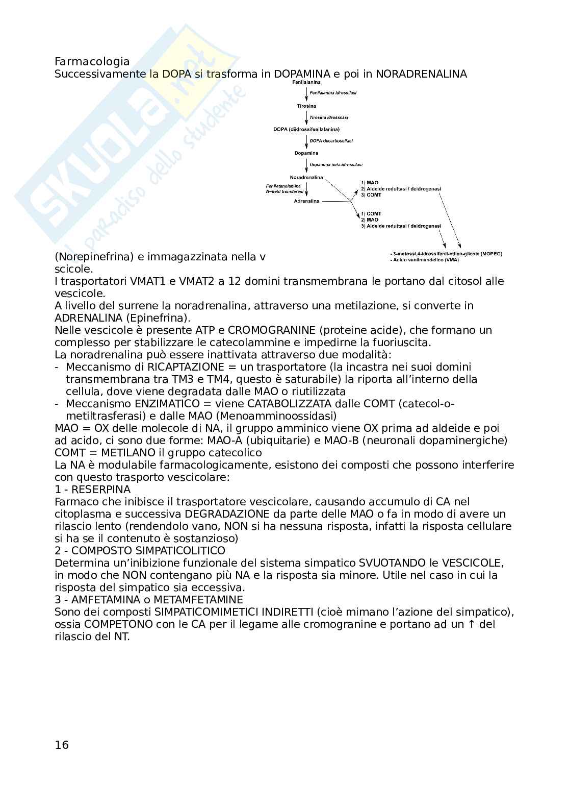 Appunti non completi, solo parte introduttiva di Farmacognosia e farmacologia Pag. 16