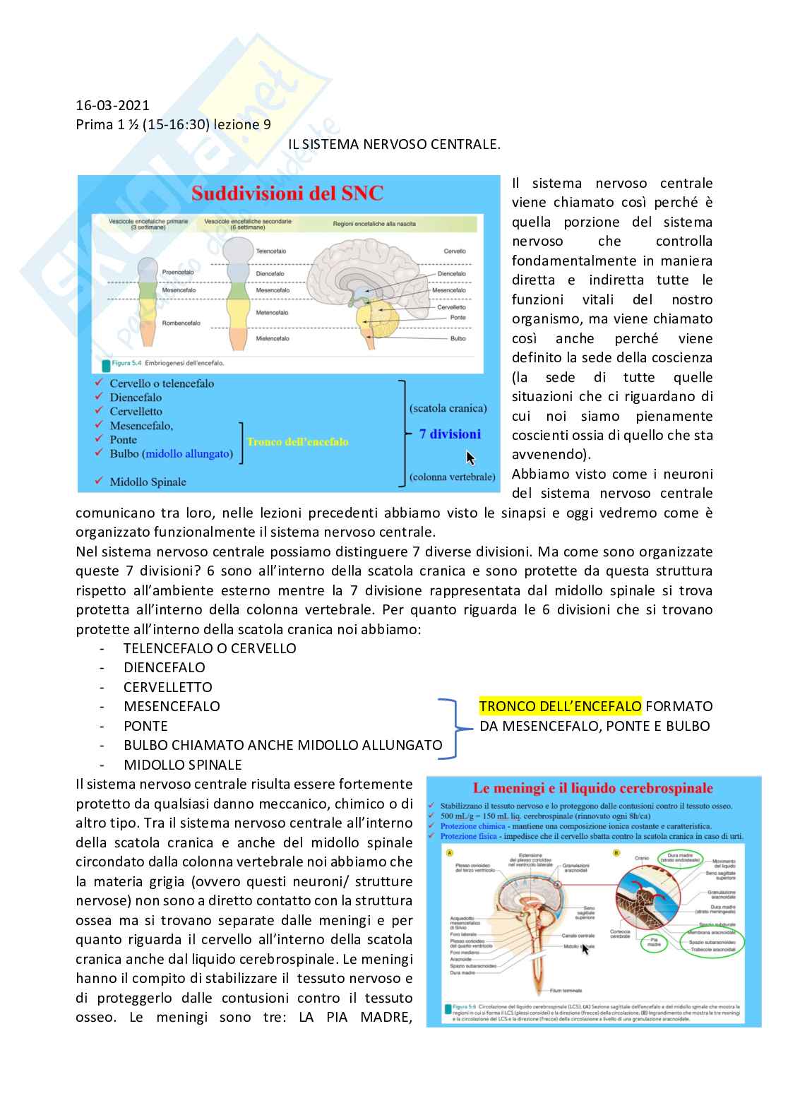 Fisiologia generale - Parte  3 Pag. 1