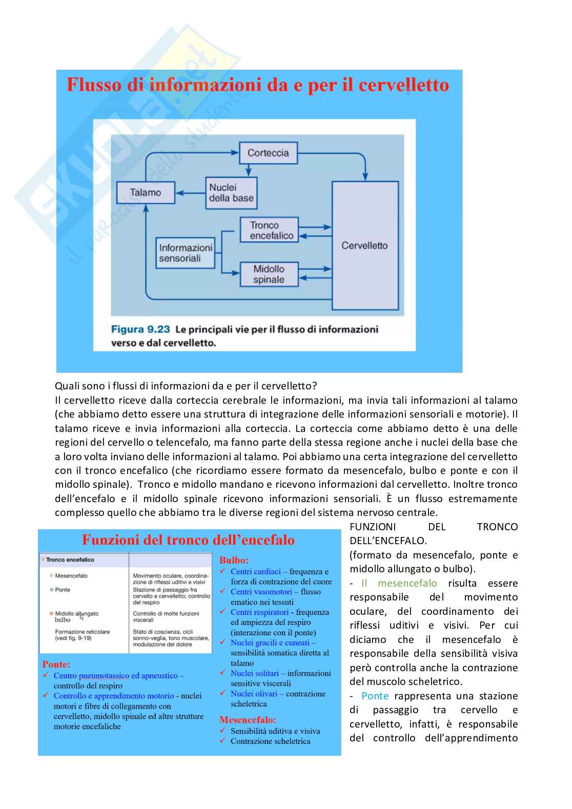 Fisiologia generale - Parte  3 Pag. 11