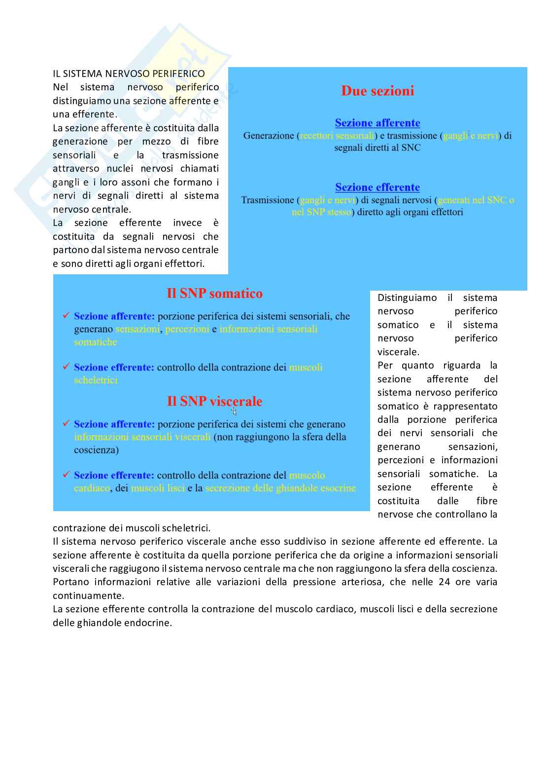 Fisiologia generale - Parte  3 Pag. 16
