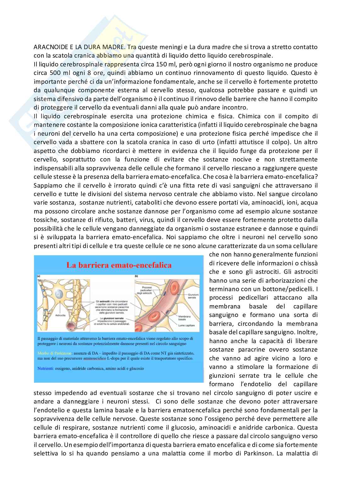 Fisiologia generale - Parte  3 Pag. 2