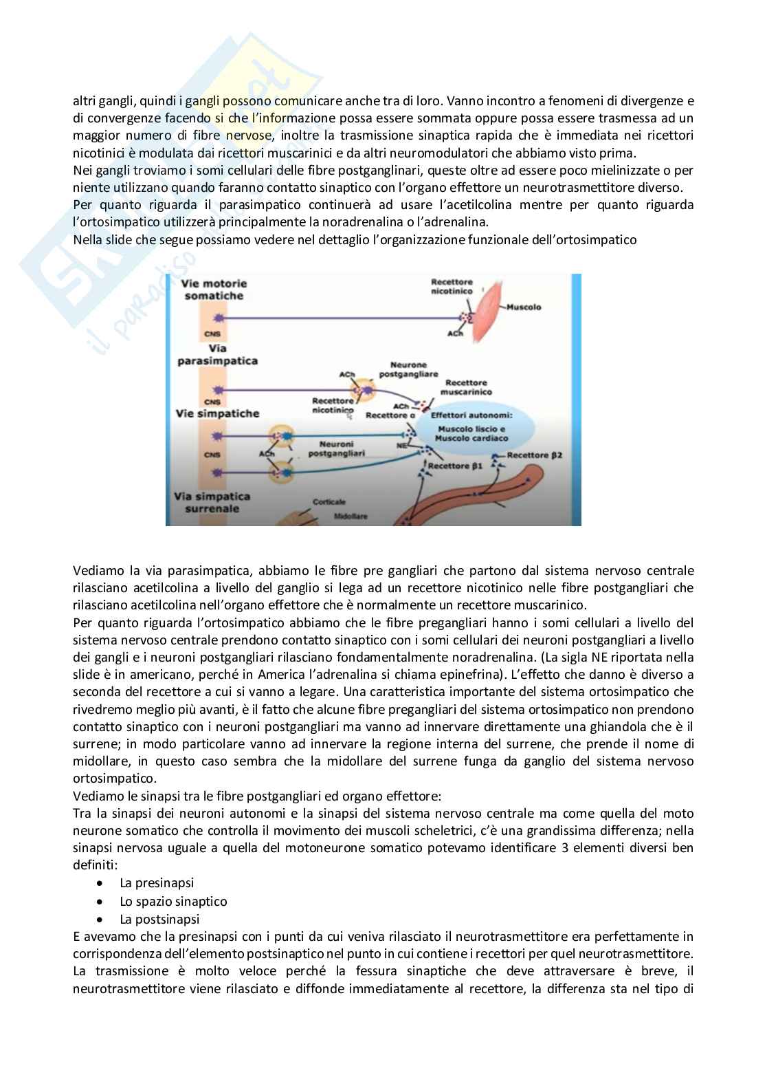 Fisiologia generale - Parte  3 Pag. 26