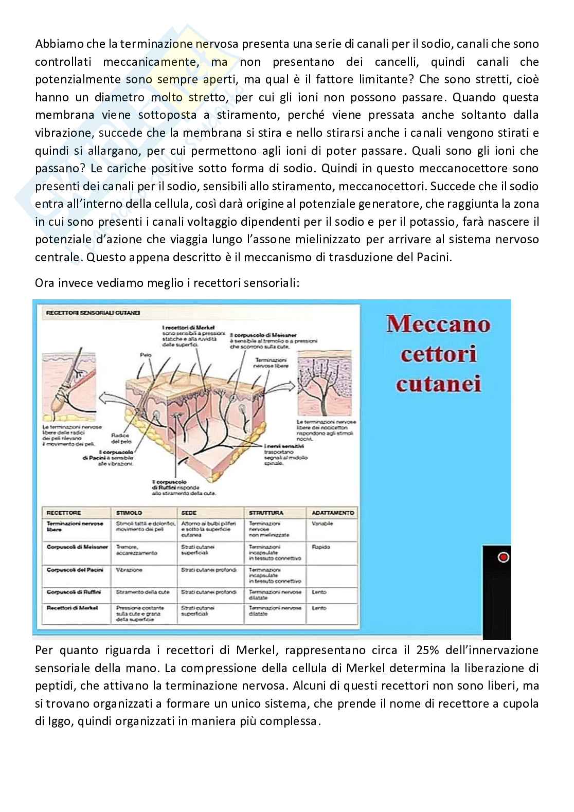 Fisiologia generale - Parte  3 Pag. 56