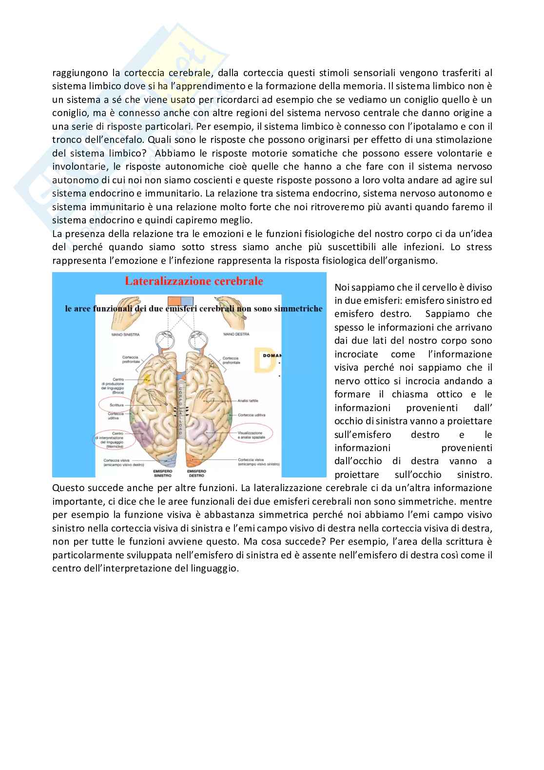 Fisiologia generale - Parte  3 Pag. 6