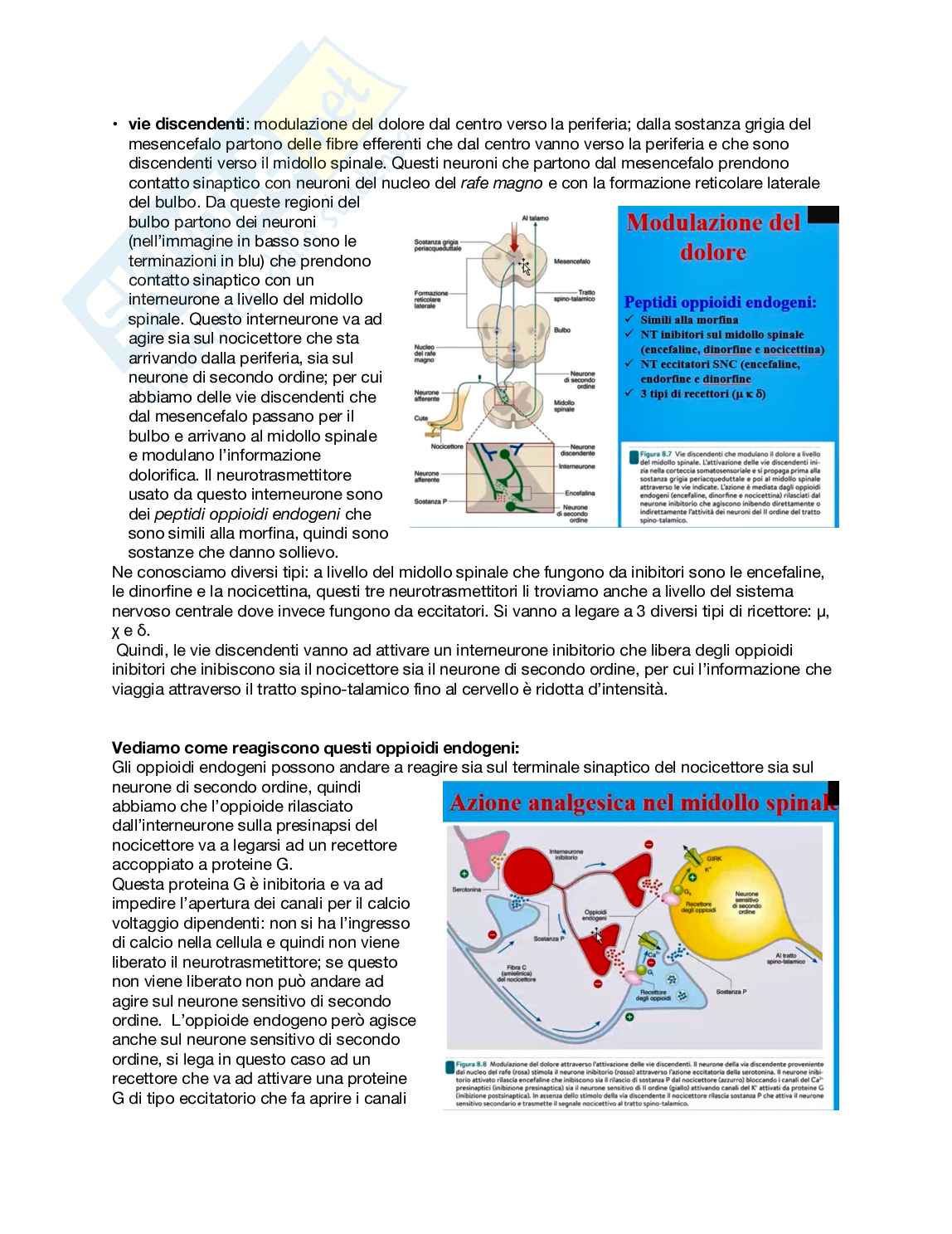 Fisiologia generale - Parte  3 Pag. 71