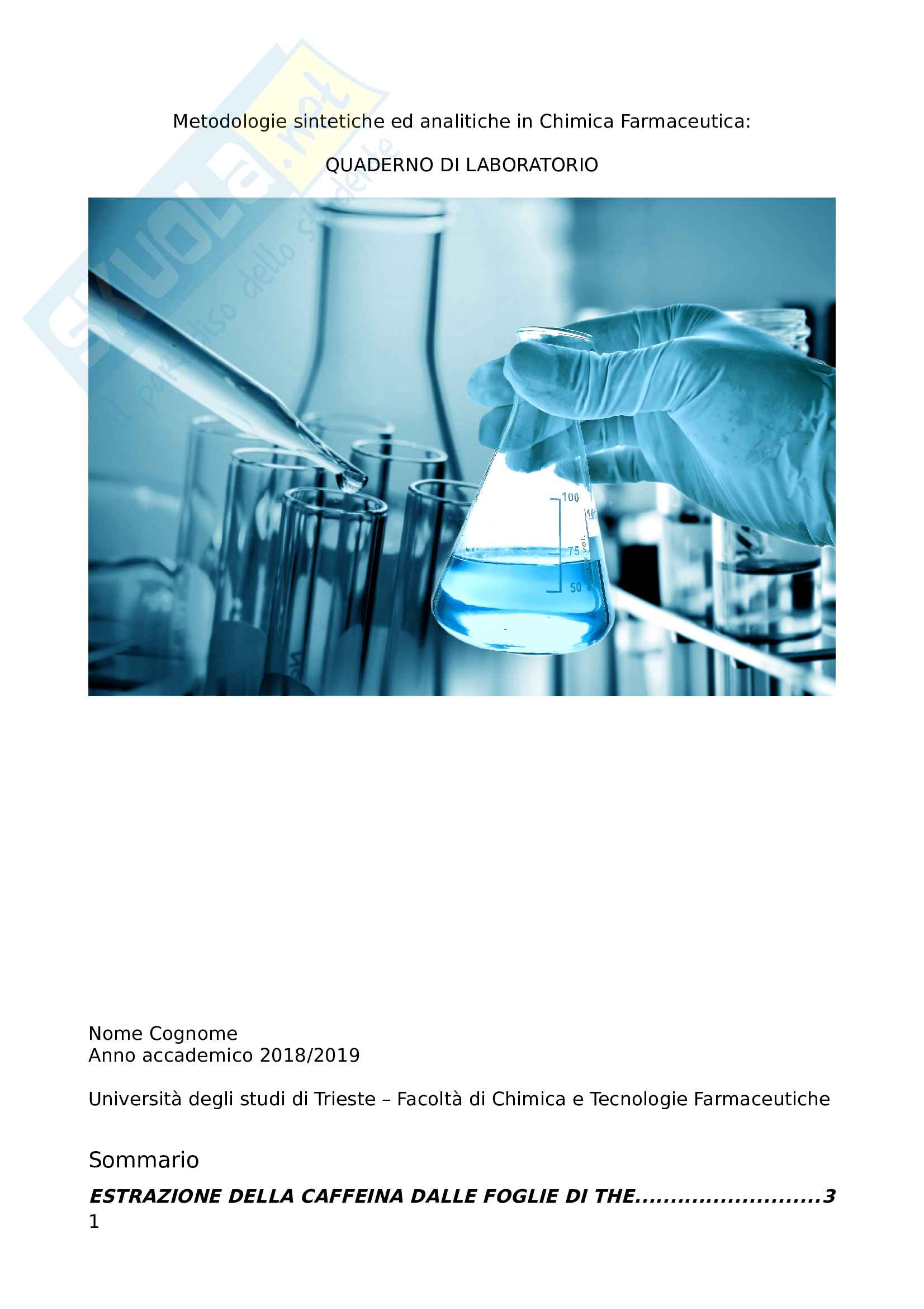 Quaderno Di Esperienze Nel Laboratorio Di Chimica Pdf
