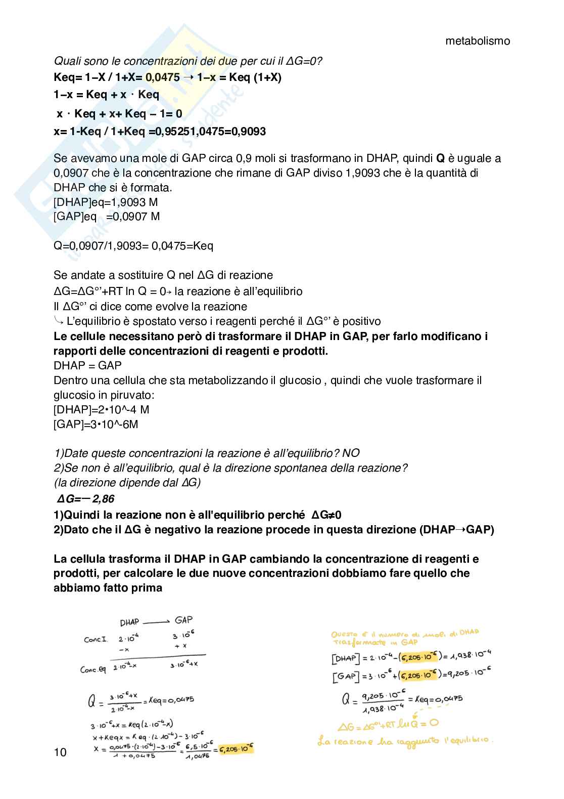 Biochimica BSA: Biochimica dei Sistemi e degli Apparati Pag. 11