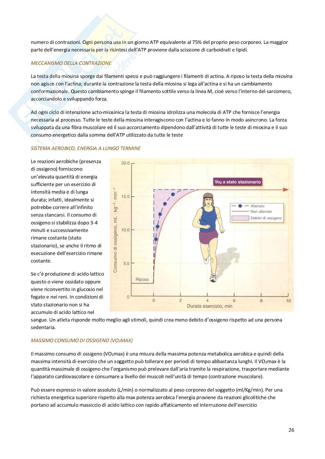 Valutazione funzionale Pag. 26