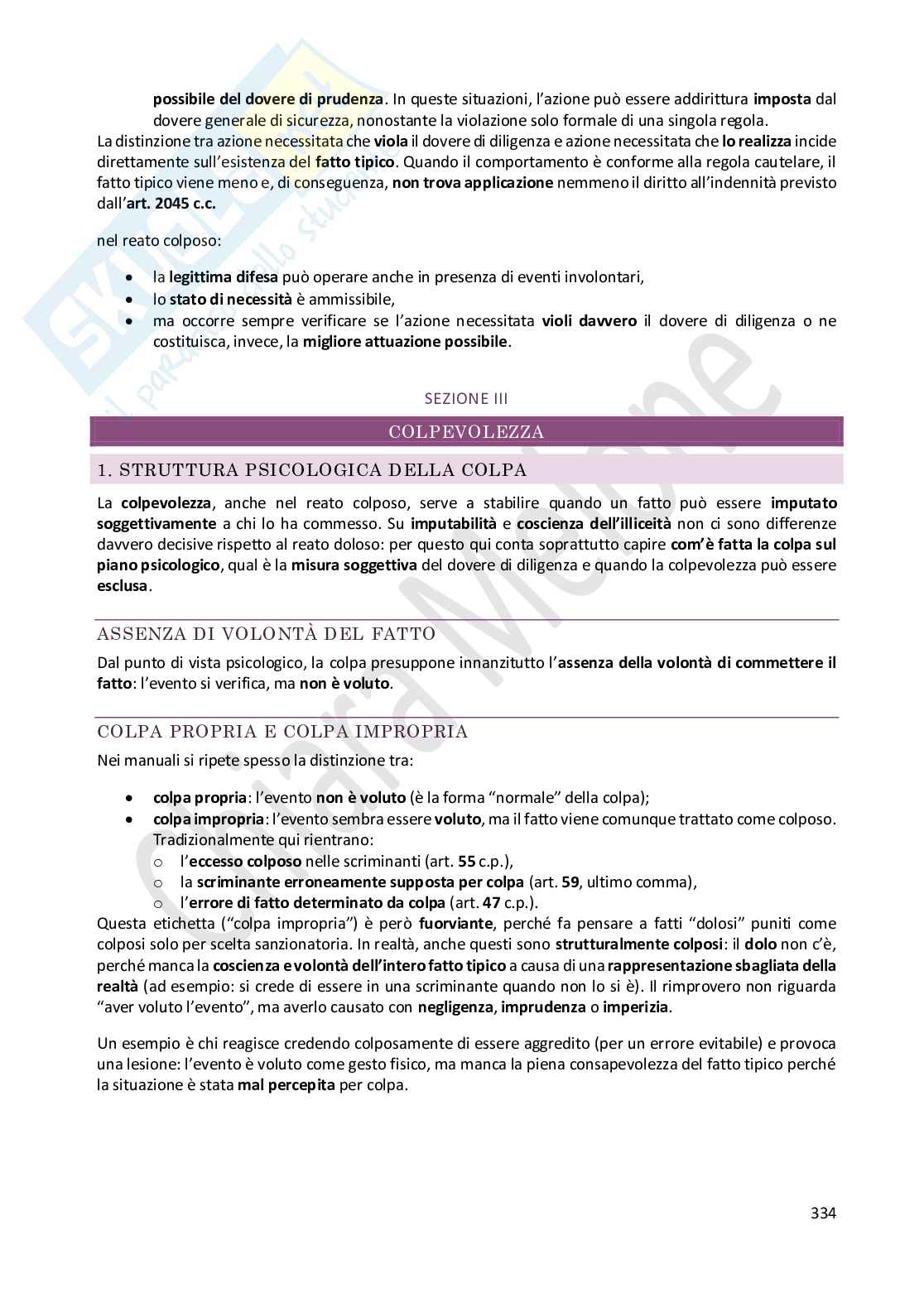 Riassunto esame Diritto penale , Prof. Castaldo Andrea, libro consigliato Diritto penale - parte generale, IX ed.a pag. 581 a 610, da pag. 619 a 667, da pag. 689 a 695, da pag. 735 a 768, Fiandaca, Musco Pag. 11