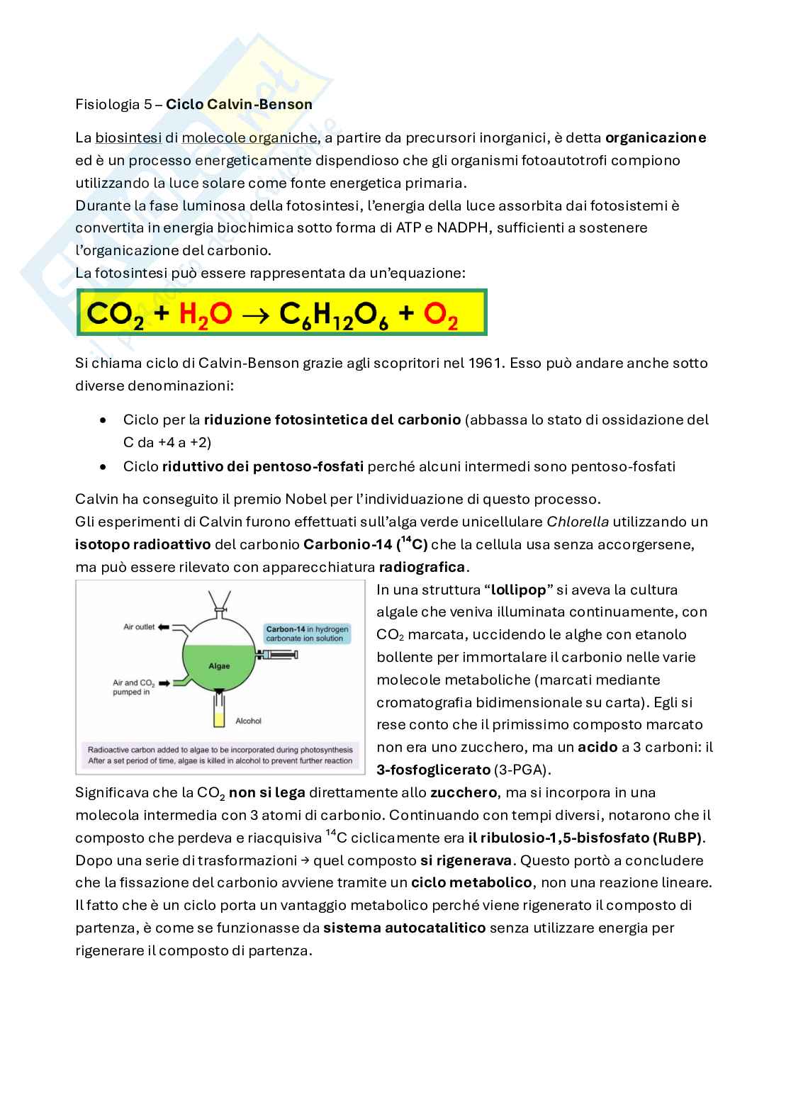 Ciclo di Calvin, fissazione dell'anidride carbonica Pag. 1