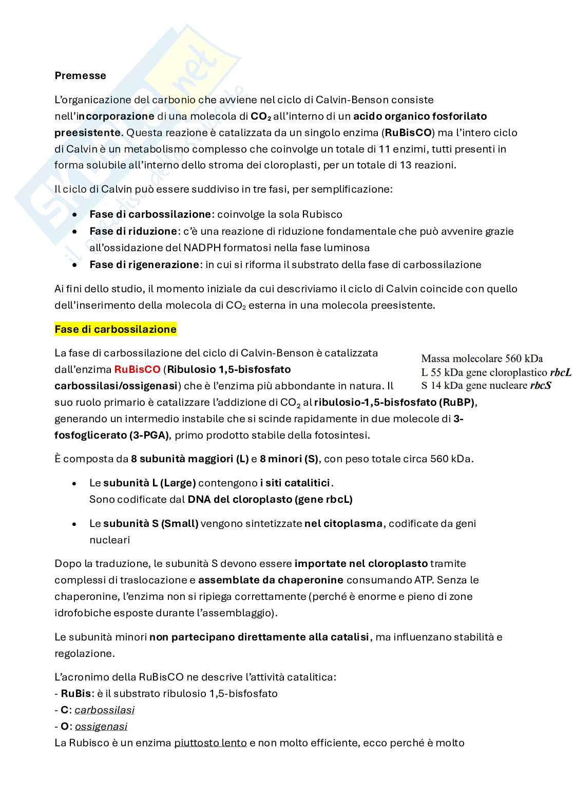 Ciclo di Calvin, fissazione dell'anidride carbonica Pag. 2