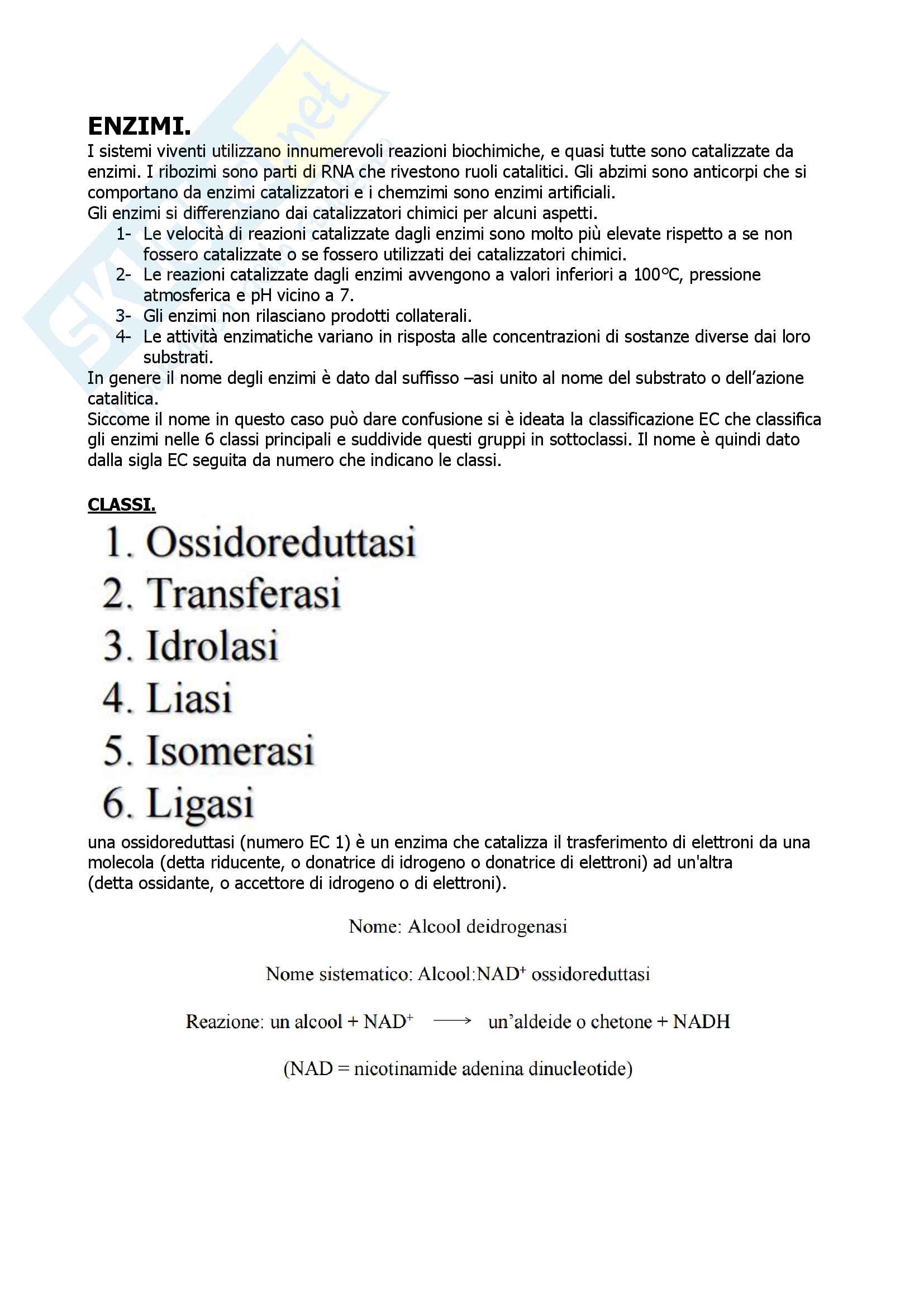 Biochimica Pag. 31