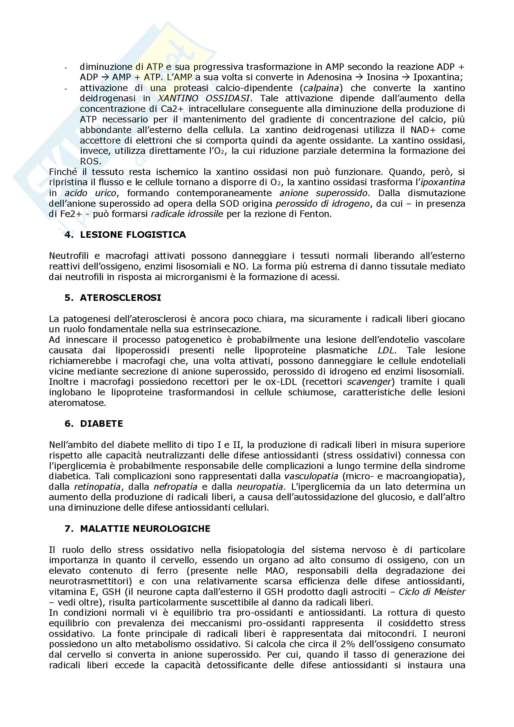 Biochimica clinica Pag. 6