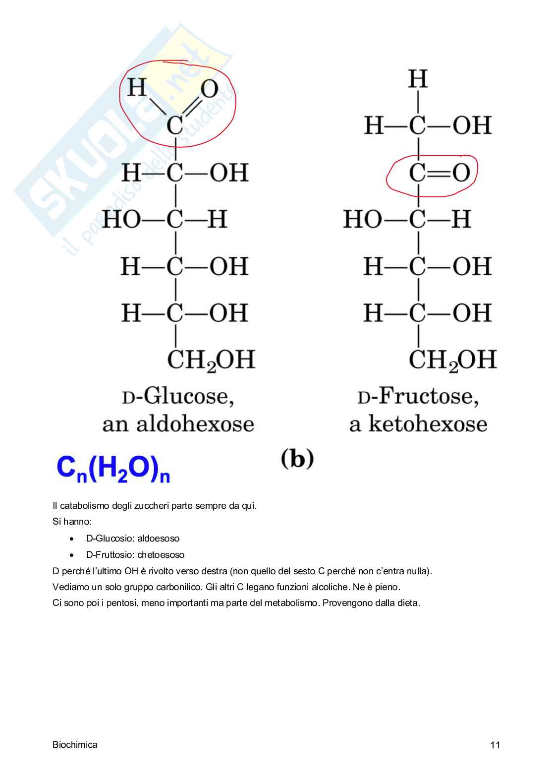 Biochimica Pag. 11
