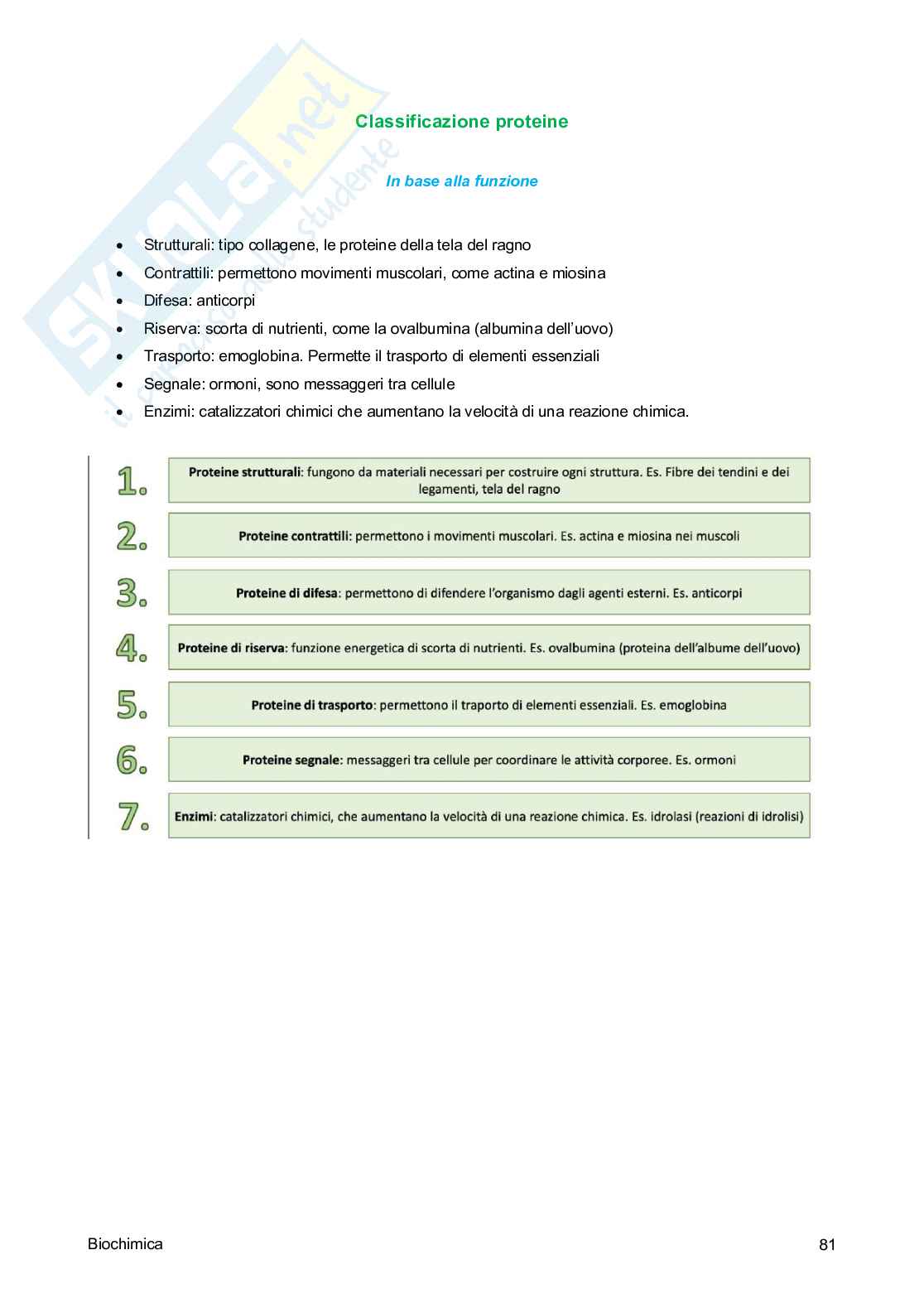 Biochimica Pag. 81
