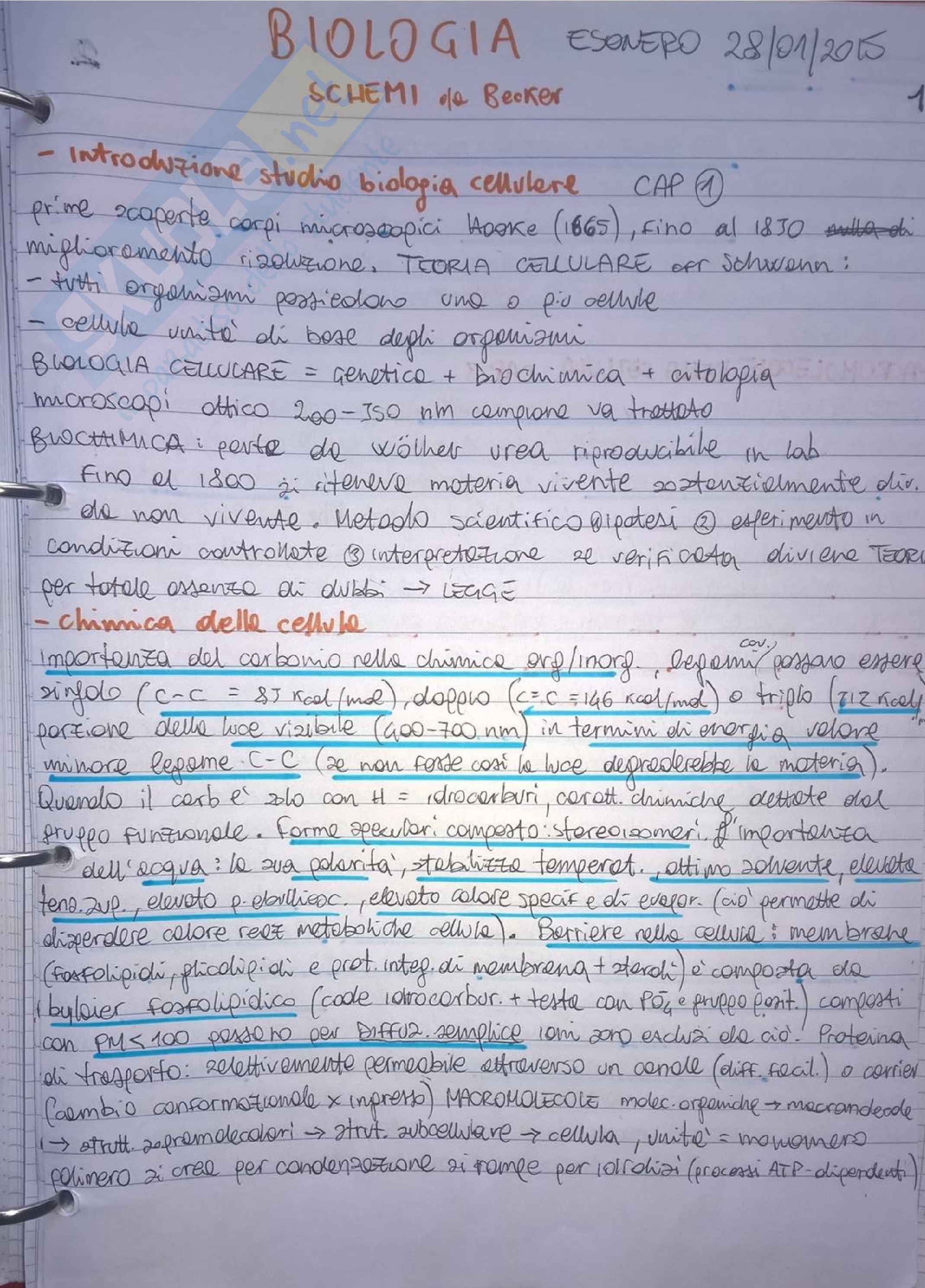 Riassunto Biologia dei principali argomenti per Esame Pag. 1