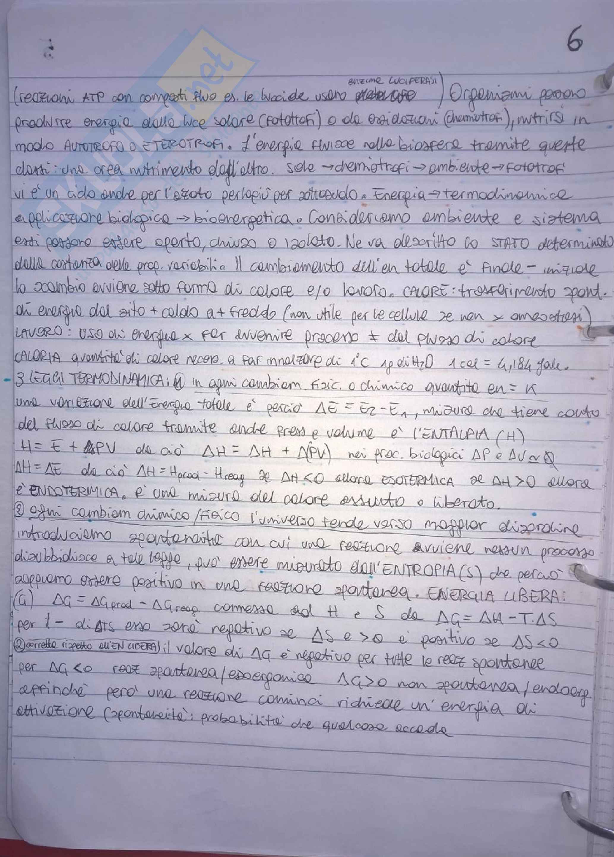 Riassunto Biologia dei principali argomenti per Esame Pag. 6