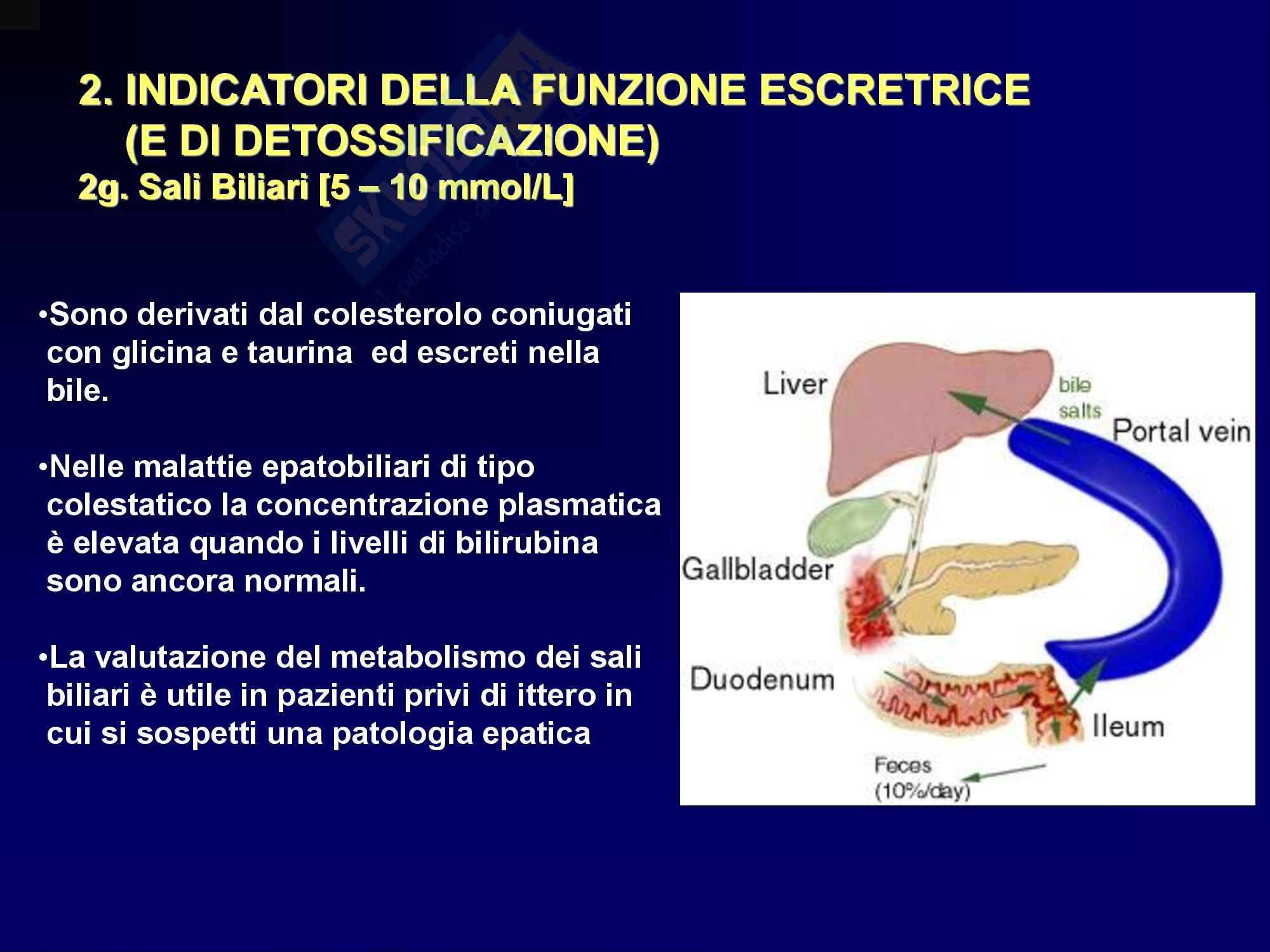 Metodologia clinica: Malattie del fegato Pag. 31