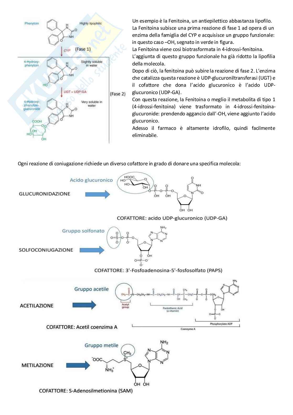 Appunti completi - Farmacologia Pag. 31