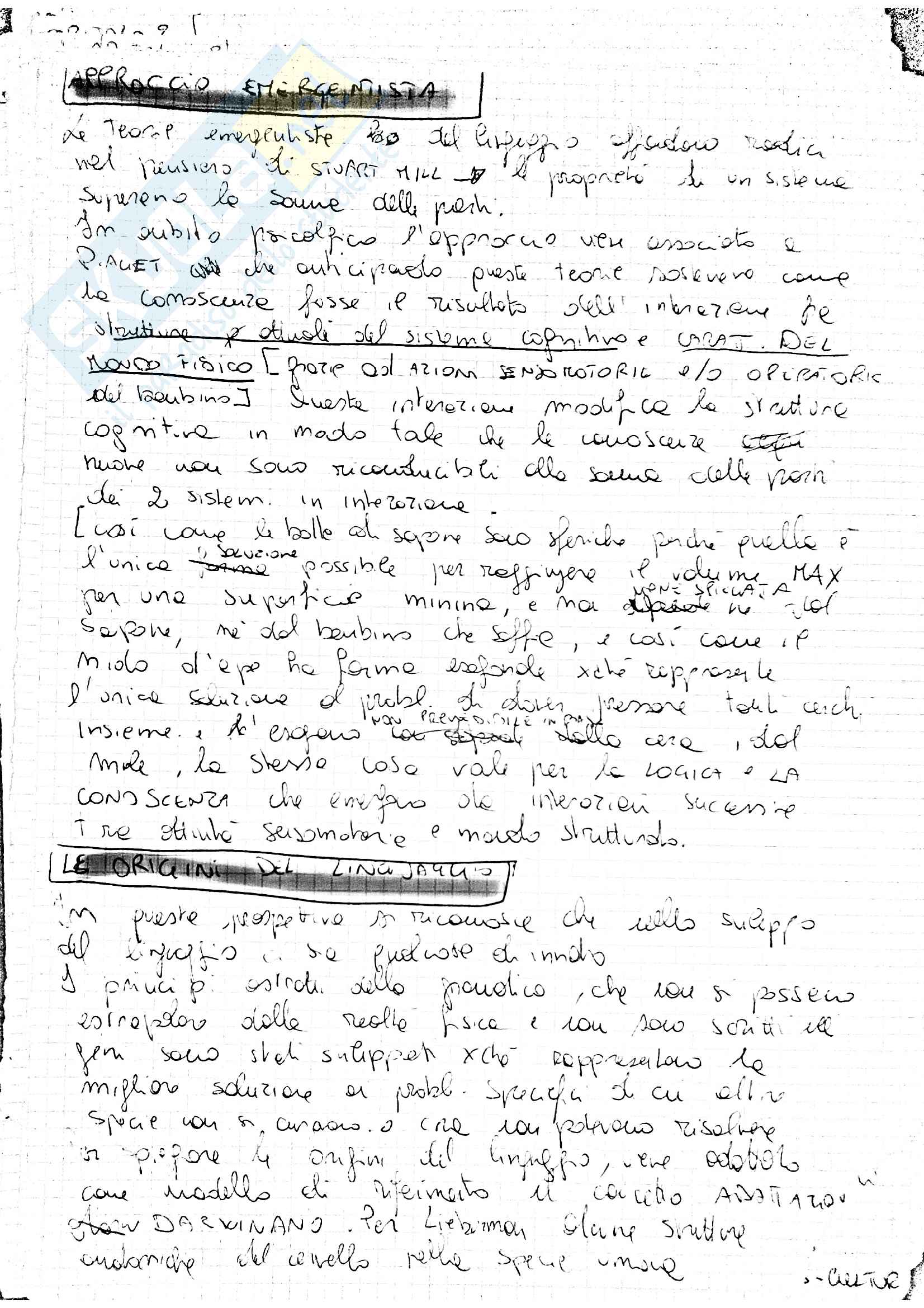 Esame psicologia del linguaggio + invecchiamento Pag. 2
