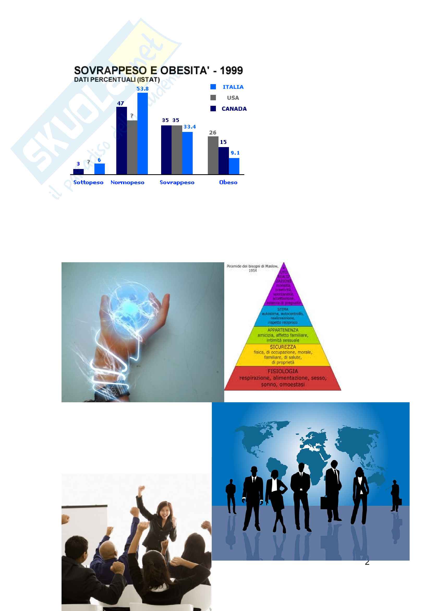 Tesi, Motivazione al lavoro e networkmarketing caso herbalife Pag. 2