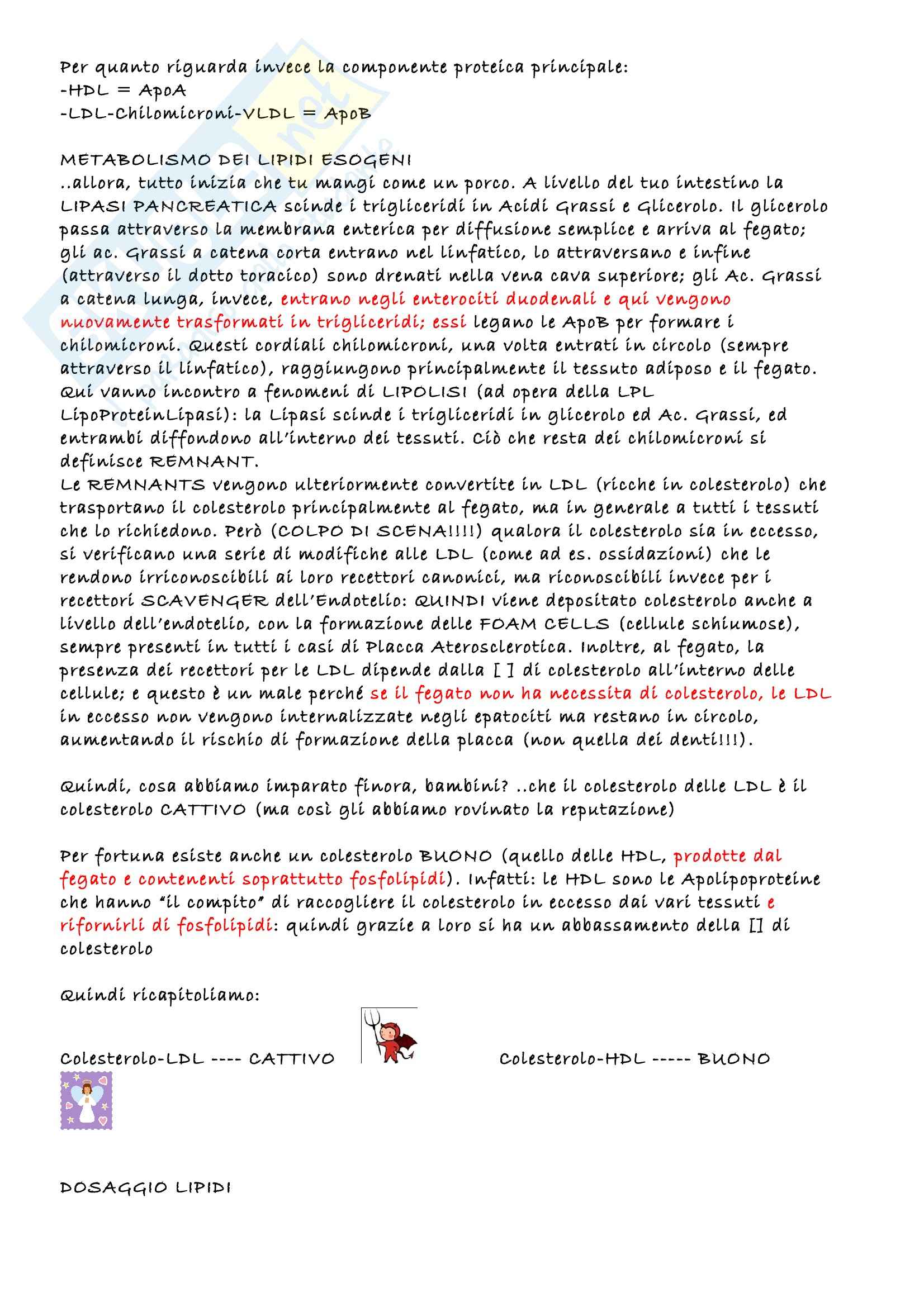 Biochimica clinica - Appunti Pag. 31