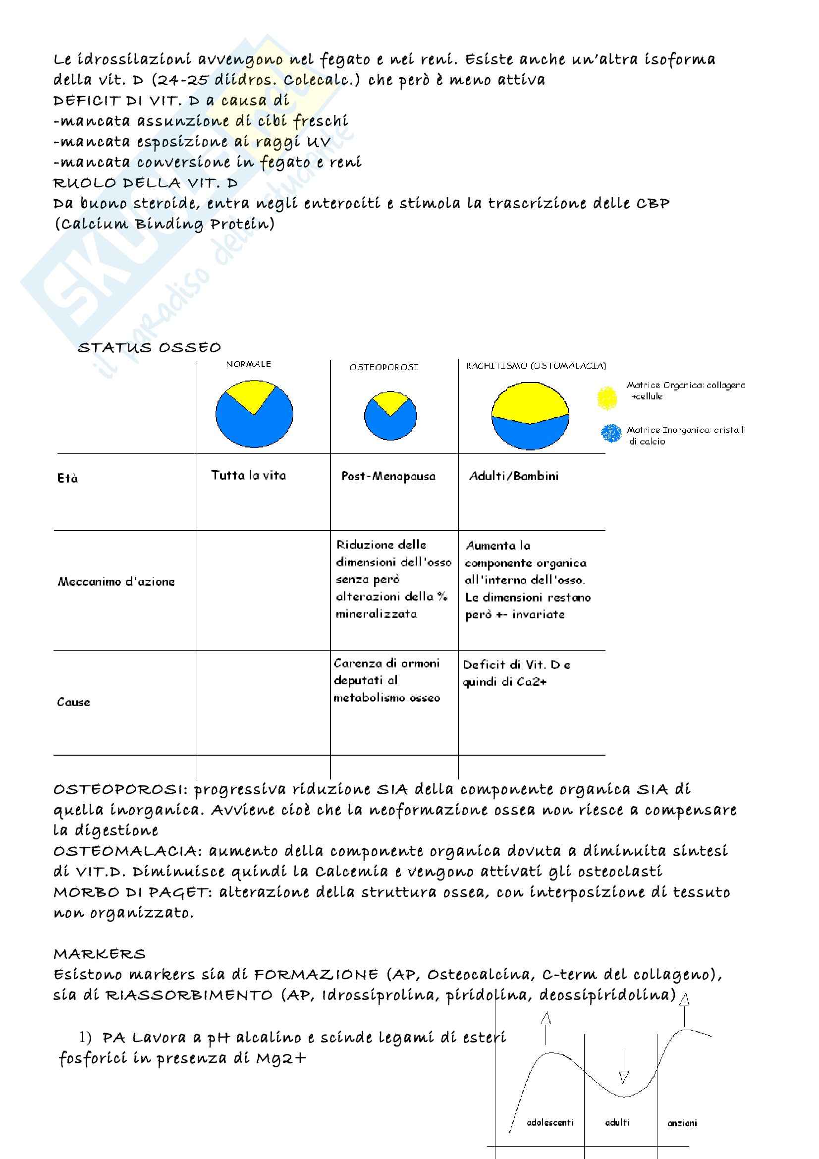 Biochimica clinica - Appunti Pag. 36