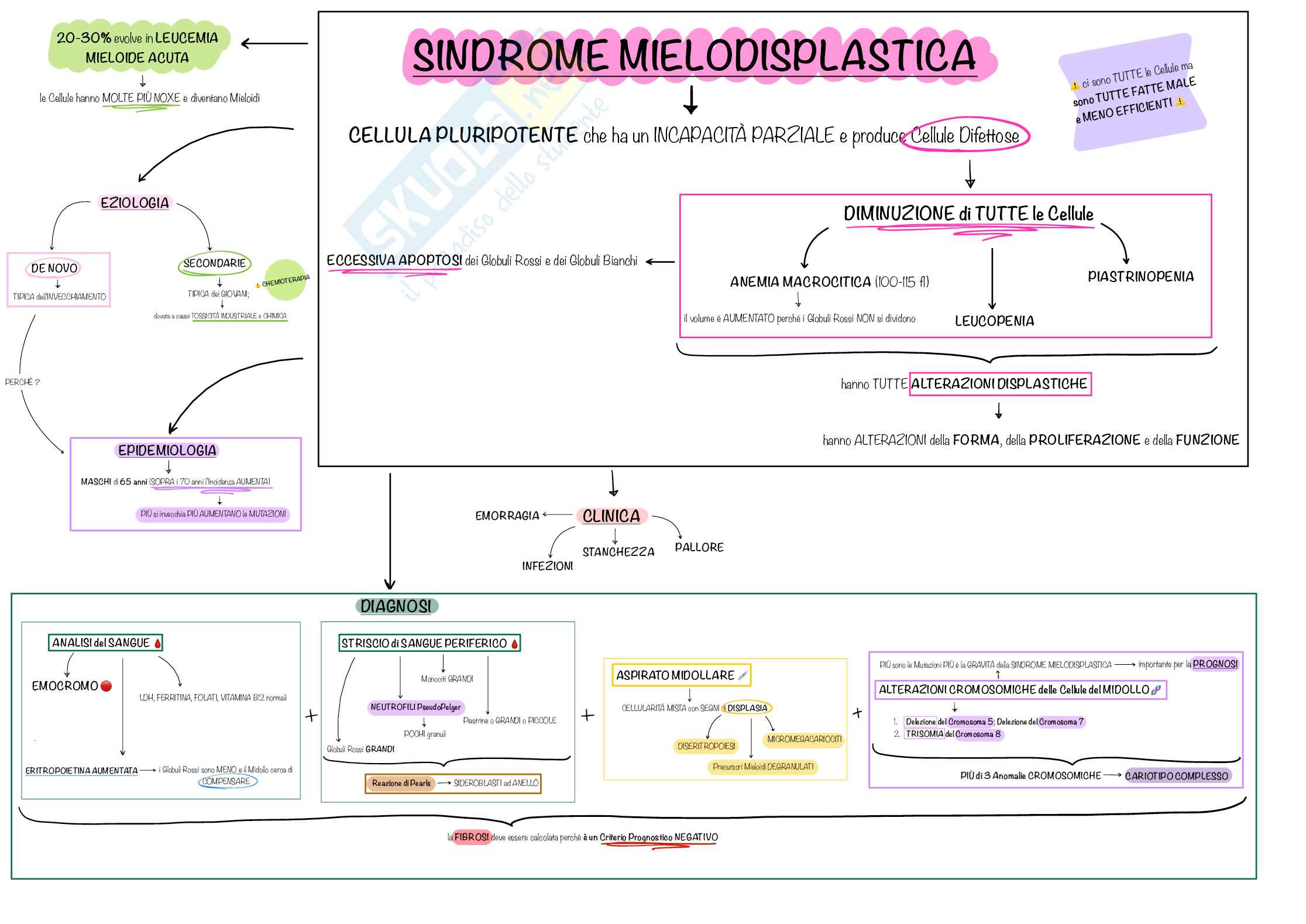 Mappe Concettuali CHIARE e PRECISE di Ematologia e Malattie del Sangue, Schemi e mappe concettuali di Ematologia Pag. 11