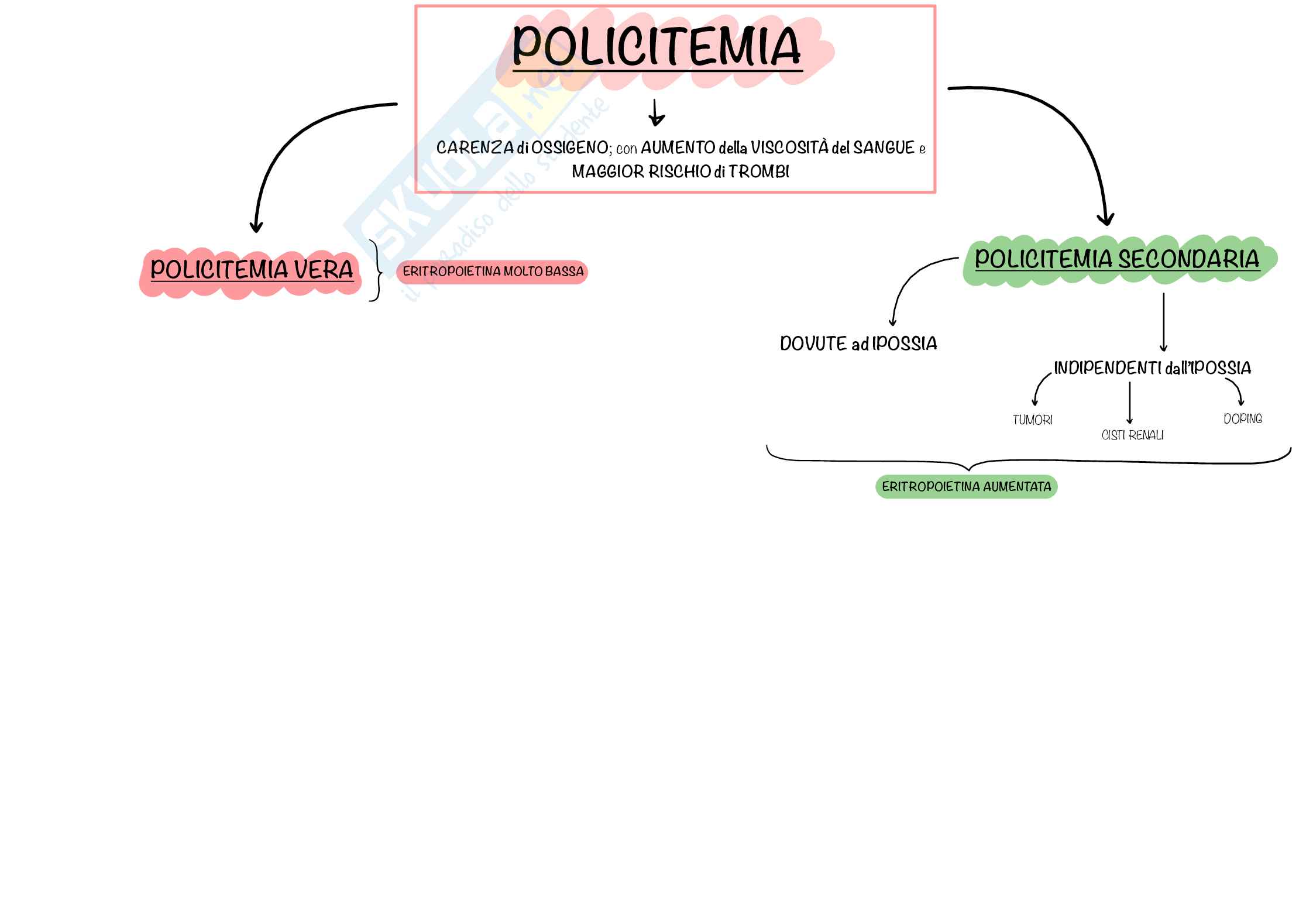 Mappe Concettuali CHIARE e PRECISE di Ematologia e Malattie del Sangue, Schemi e mappe concettuali di Ematologia Pag. 26